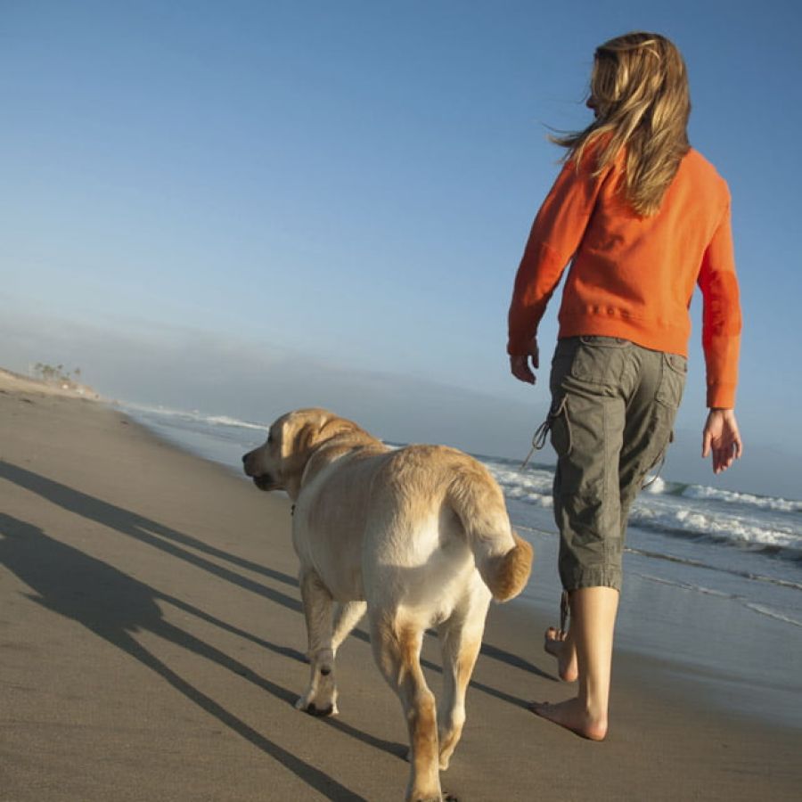 Home 8 Edfbf7Abb9C8De995F04Ecc7F0Cf76F7